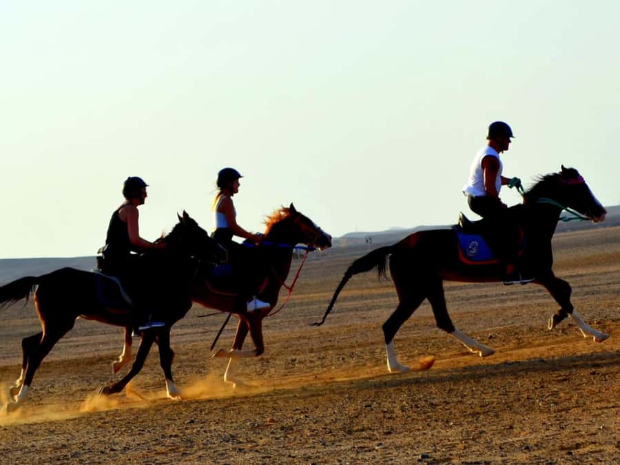 Marsa Alam: Sunset Horseback with Dinner, Show & Stargazing - Who this is best for, and who should skip it