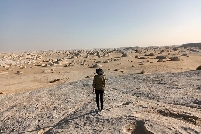 Marvel 10 Day to Giza Pyramids ,White desert ,Nile Cruise & Hotel - The Desert Morning and Overnight Train to Aswan