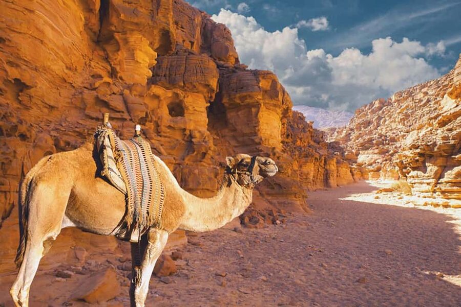 Moses Mountain & Saint Catherine from Dahab - Price and value for $39 from Dahab