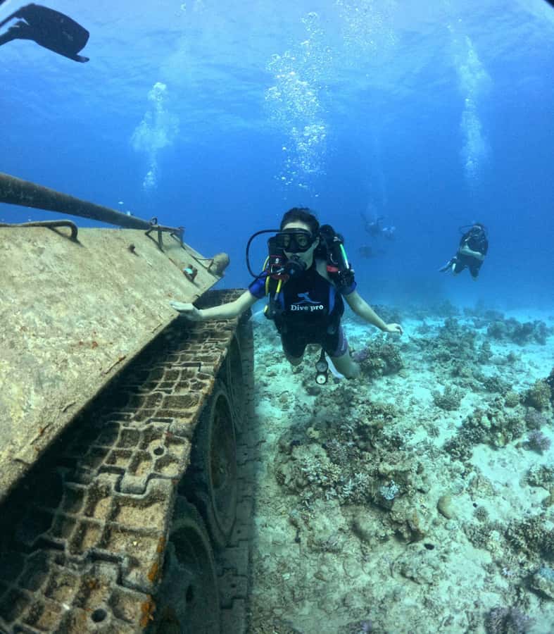 Museum Diving Experience in the Red Sea - Key highlights you will actually care about