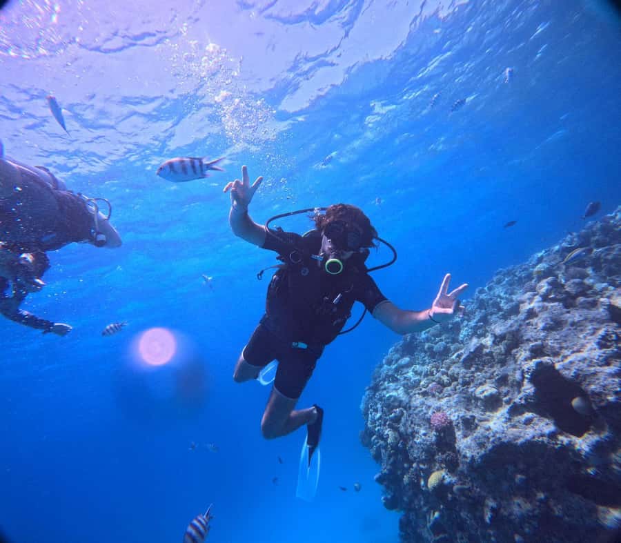 Museum Diving Experience in the Red Sea - Skip-the-line entry, plus what that means for your timing