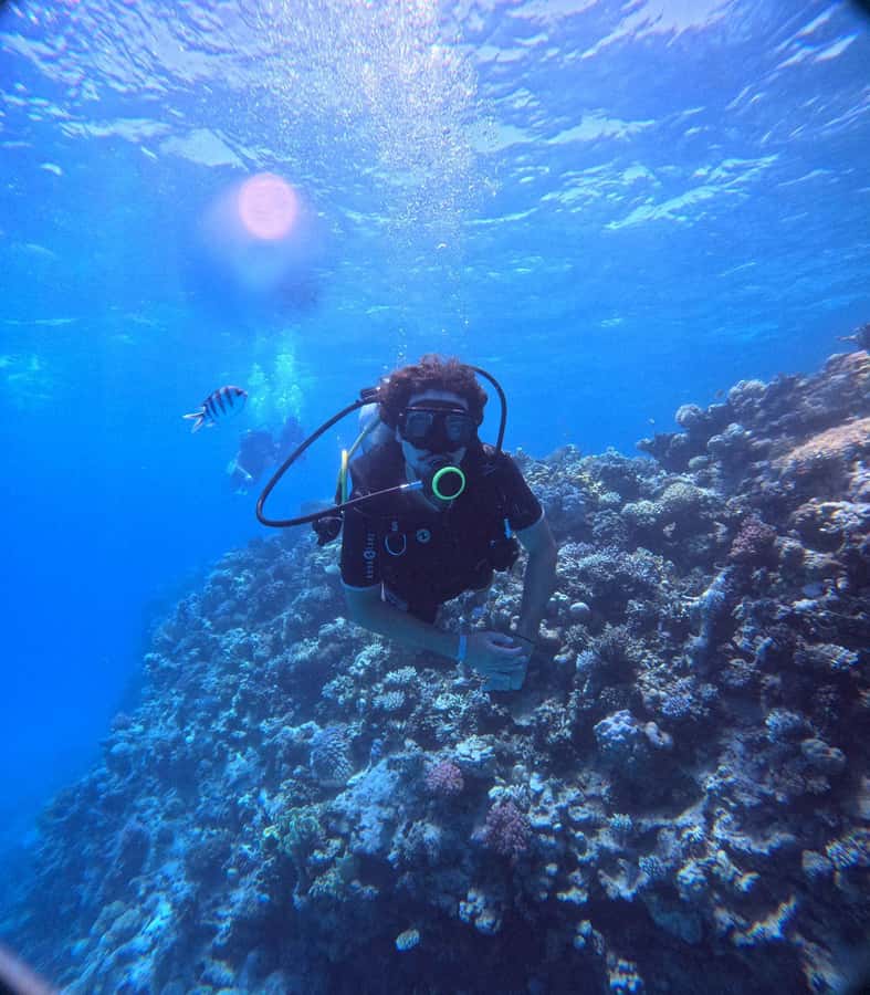 Museum Diving Experience in the Red Sea - Lunch and comfort on a long Red Sea day