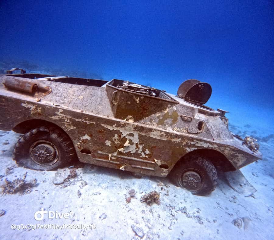 Museum Diving Experience in the Red Sea - Who this SCUBA trip suits best, and who should skip it