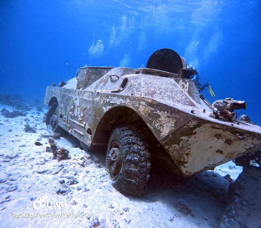 Museum Diving Experience in the Red Sea - Booking questions to settle before you go