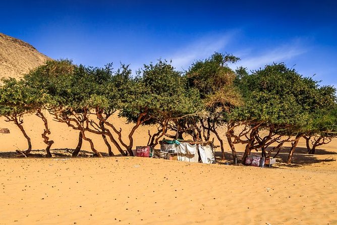 Nubian Village by Motorboat In Aswan - Inside a Nubian family home: tea, stories, and how to ask better questions