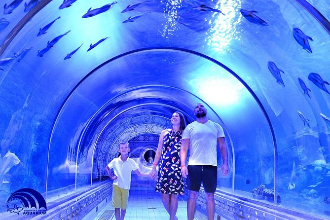 Official Account: Hurghada Grand Aquarium Entrance Tickets - Hurghada Grand Aquarium Tickets: Red Sea in Glass in 1-2 Hours