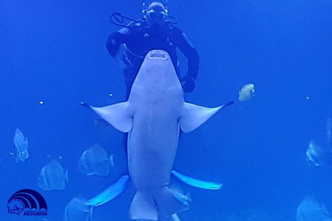 Official Account: Hurghada Grand Aquarium Entrance Tickets - The Underwater Tunnel and Rope Bridge: A Preview of What You Miss if You Rush