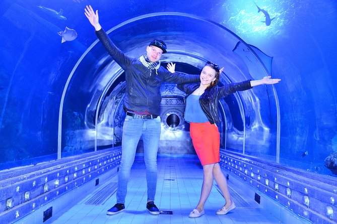Official Account: Hurghada Grand Aquarium Entrance Tickets - Animal Welfare and Cleanliness: What the Mixed Feedback Means for You