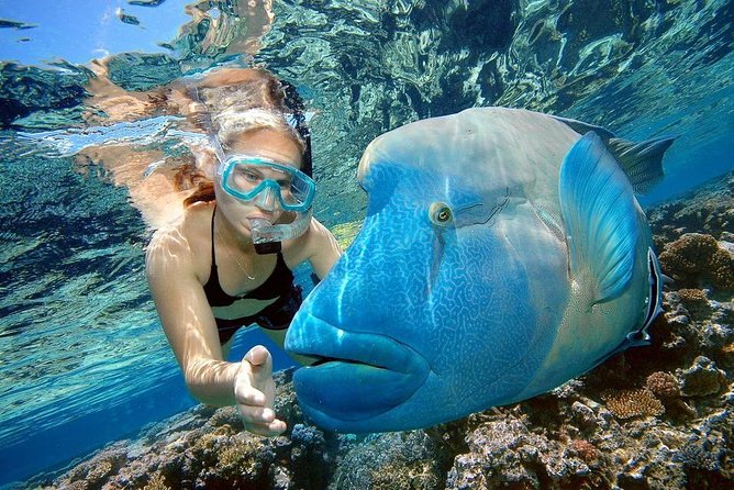 Orange Bay Island Snorkeling Trip With Water Sports - Hurghada - Lunch on board and the soft-drink setup
