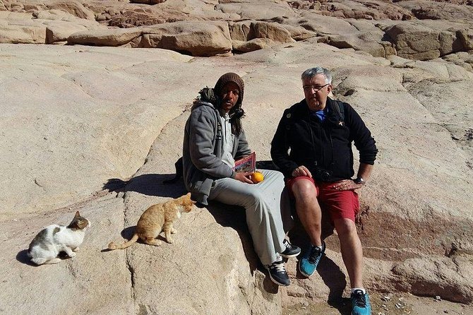 Overnight Trip to Saint Catherine Monastery from Cairo - Saint Catherine Monastery, the Burning Bush Site, and What’s Open