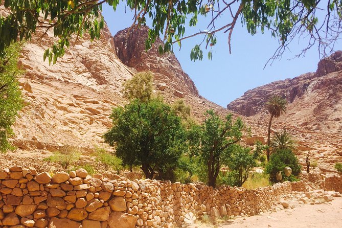 Overnight Trip to Saint Catherine Monastery from Cairo - Should You Book This Overnight Mount Sinai and St Catherine Tour?