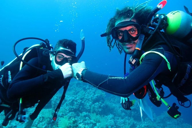 PADI Open Water Diver Course - Key things I’d circle before you book
