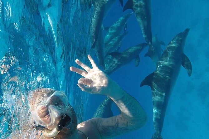 PADI Open Water Diver Course in Hurghada - Learn Scuba Diving - Key Highlights You’ll Feel on Day One