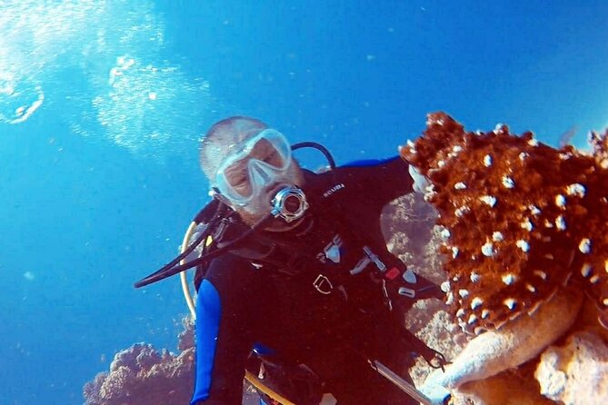 PADI Open Water Diver Course in Hurghada - Learn Scuba Diving - Getting Certified to 18 Meters: What This PADI Course Really Does