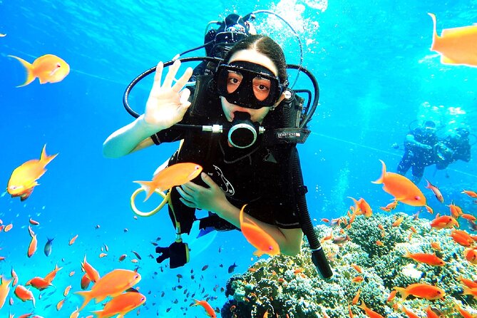 PADI Open Water Diver Course - Confined-water skills: where you build control first