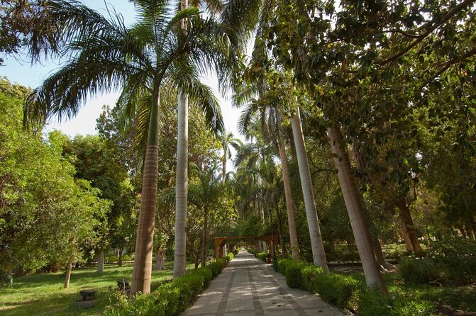 Private 1-Hour Felucca Sailing and Botanical Garden In Aswan - Key Things You’ll Notice on This Aswan Trip