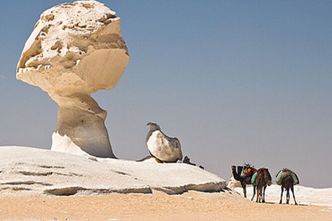 Private 2 Days Jeep Safari to White Desert and Bahariya Oasis - Leaving Cairo at 7:30am, the Quiet Setup for a Big Desert Day