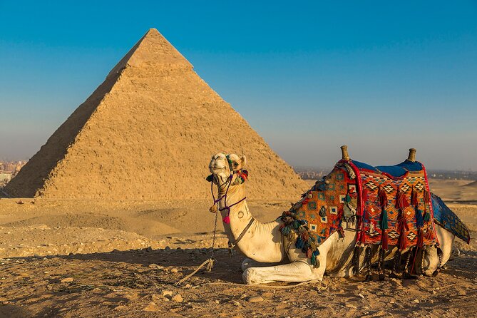 Private Cairo Aswan Luxor 8 days 7 nights with Nile Cruise - Price and Logistics: Is $960 Good Value for This Much Included?