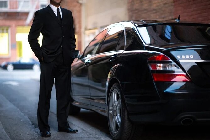 Private Car With professional Driver Will Be With You Full Day - Who Should Book This Cairo Private Driver Day