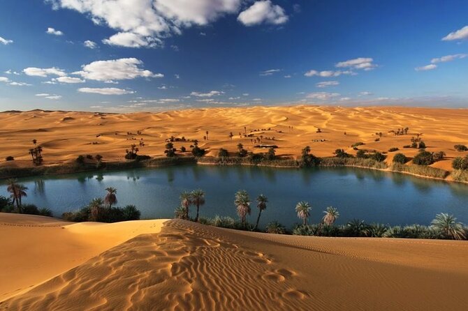 Private Day Tour To El Fayoum From Cairo - Jeep Safari: The Adventure Bonus You Should Confirm