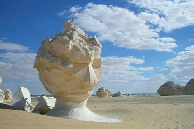 Private Day Tour To White Desert And Bahariya Oasis - Bahariya Oasis: palms, hot springs, and a calmer rhythm