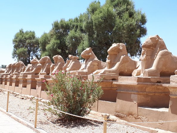 Private Full Day Tour to Luxor from Cairo with Flight - The Valley of the Kings tomb stops beyond King Tut
