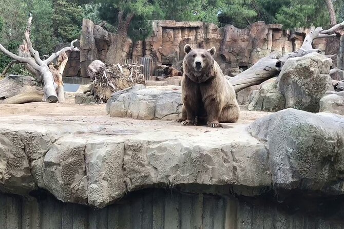 Private Half Day Tour To The Zoo In Giza - Price Value: Is $30 a Good Deal for a Private Zoo Tour?