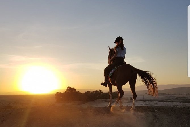 Private Horse Riding Tour in Luxor West Bank - What the route feels like: villages, fields, and desert edges
