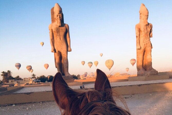 Private Horse Riding Tour in Luxor West Bank - Memnon and Hatshepsut stops: how to get history without losing your ride