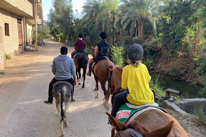 Private Horse Riding Tour in Luxor West Bank - Sunrise balloons and sunset light: timing that turns the ride into a memory