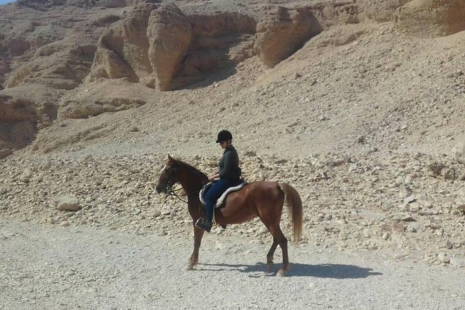 Private Horse Riding Tour in Luxor West Bank - Safety that is actually built in: helmets, chaps, and careful horse care