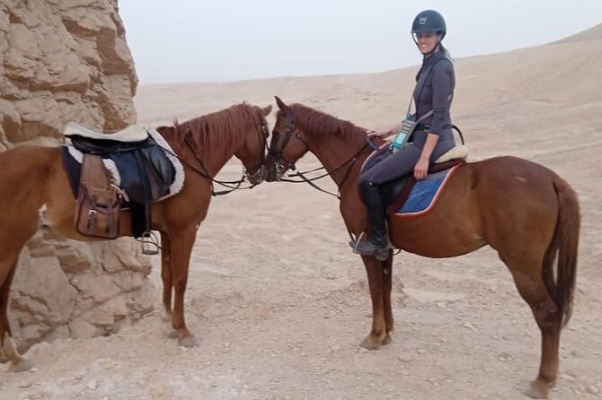 Private Horse Riding Tour in Luxor West Bank - Price and value: why $12 per person can make sense