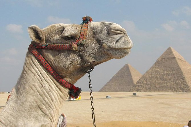 Private Journey :Grand Egyptian Museum & Giza Pyramids - Door-to-door in Cairo, without the headache