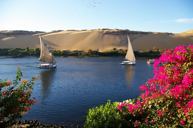 Private Tour: 10 Days Pyramids ,Nile Cruise & Hurghada by Air from Cairo - Day 4: Abu Simbel by private vehicle, a long day with unforgettable scale
