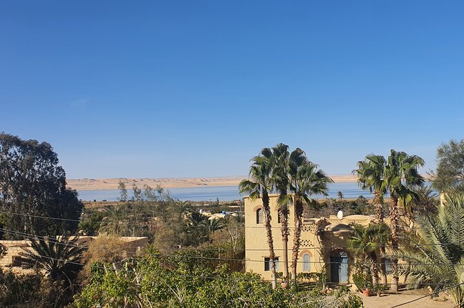 Private tour El Fayoum Oasis and Wadi Rayan waterfall from Cairo - Key Highlights You’ll Notice Right Away