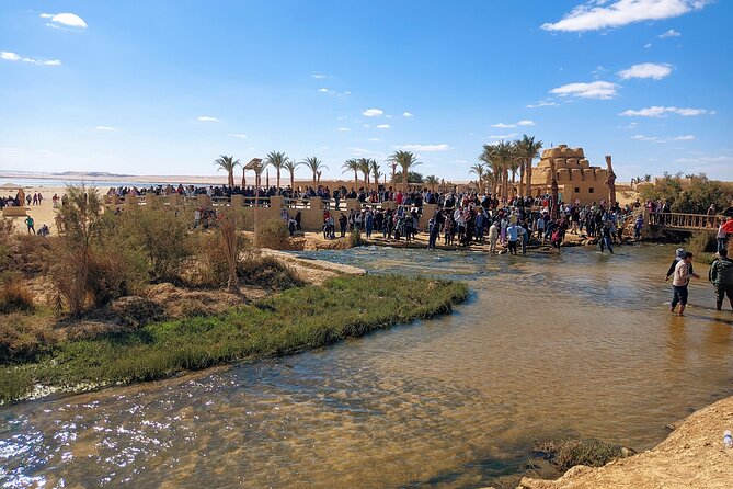 Private tour El Fayoum Oasis and Wadi Rayan waterfall from Cairo - Price and What It Actually Buys for $80 Per Person