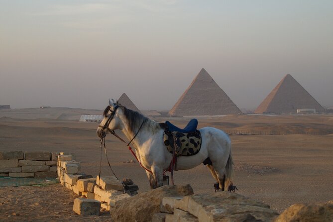 Private Tour to Giza Pyramids, Sphinx and Egyptian Museum - Price and Value: What $40 Covers, and What You Must Add