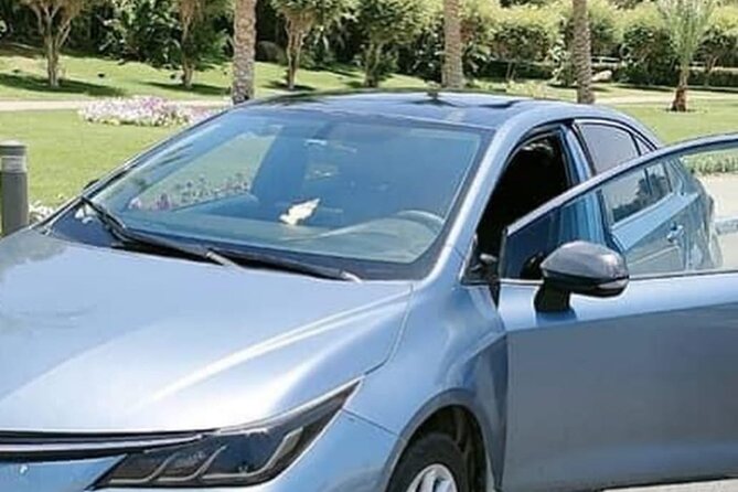 Private Transfer to Cairo and Giza from Cairo Airport - Cairo or Giza drop-off, and why the destination choice matters