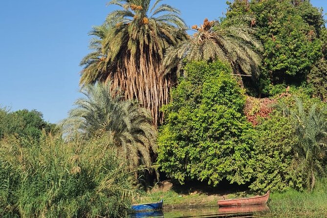 Private Trip to Nubian Village and Felucca Ride in Aswan - Price and value: how $40 stacks up for a 3 to 4 hour private outing