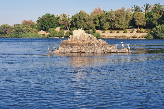 Private Trip to Nubian Village and Felucca Ride in Aswan - Timing, heat, and comfort tips for river days