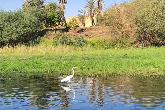 Private Trip to Nubian Village and Felucca Ride in Aswan - Is it worth booking for your trip style?