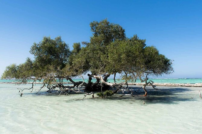 Private trip to wadi el Gemal from Marsa Alam - Private Pickup and Timing, How to Avoid the Day-Plan Confusion