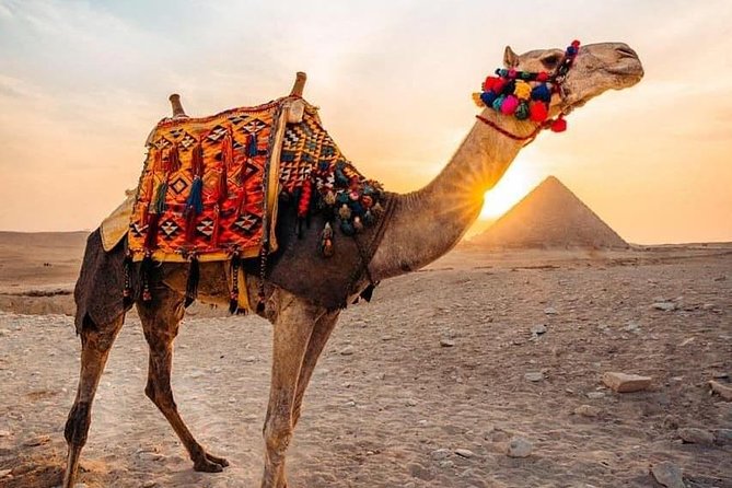 Pyramids camel ride - Sunrise Camel Ride at Giza, What Makes It Special