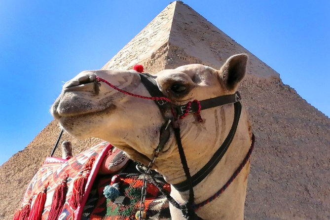 Pyramids of Giza, the Sphinx, the Egyptian Museum. - The Great Sphinx: why the guide’s context makes it click