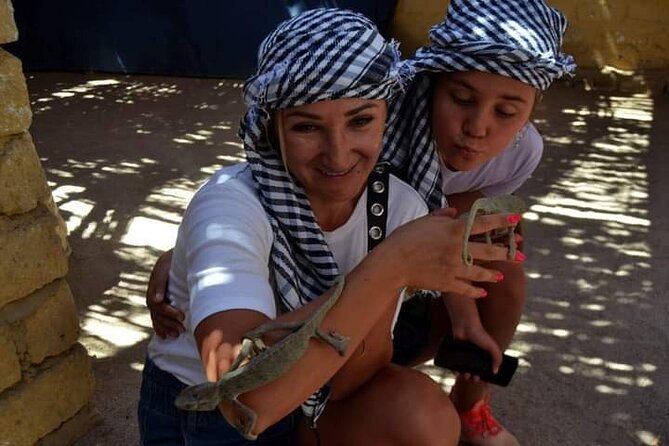 Quad 3 hours VIP safari adventure Hurghada - Who should book this Hurghada quad safari, and who should reconsider