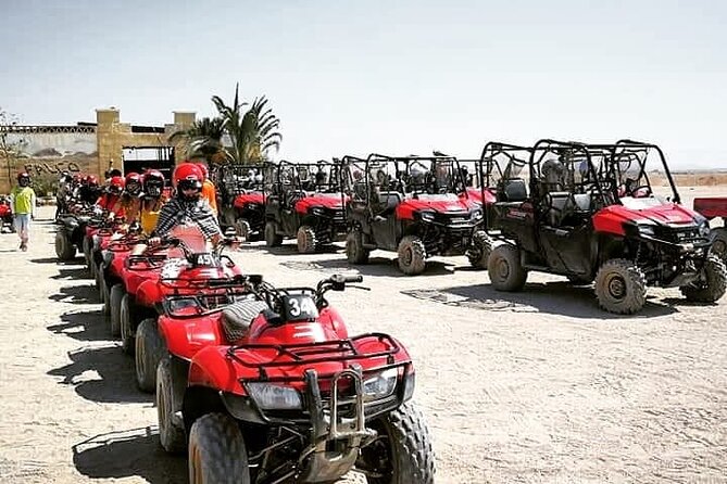 Quad 3 hours VIP safari adventure Hurghada - The Bedouin village tea stop and camel ride: the good, the real, and the practical