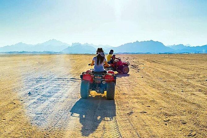 Quad Biking Safari-Camel Ride-Bedouin Dinner and Shows From Sharm - Bedouin Dinner by Campfire: Food, Shows, and the Night Mood