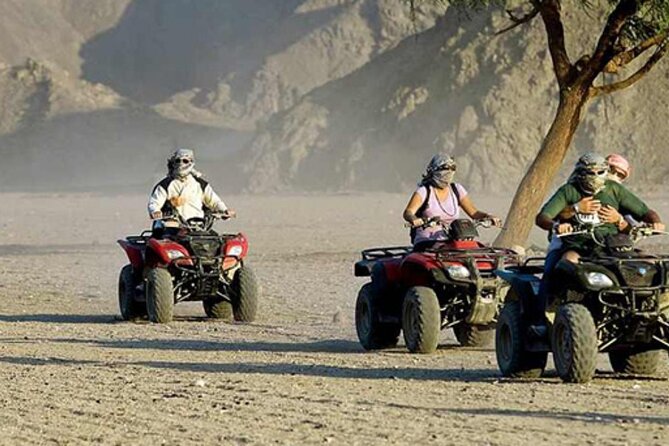 Quad with Camel Ride & Bedouin village From Marsa Alam - Quad Biking and Bedouin Village: The Real Appeal in Marsa Alam