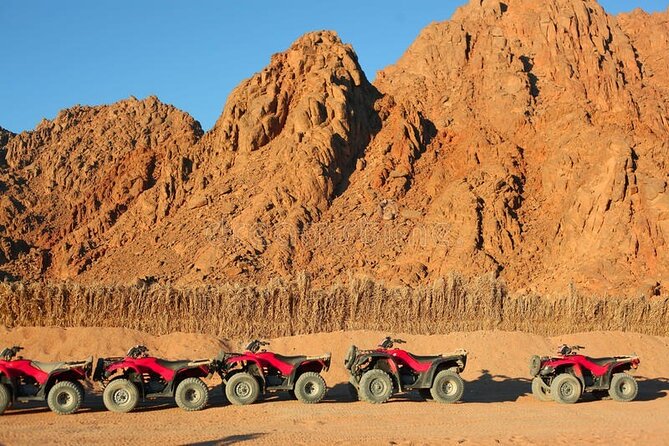Quad with Camel Ride & Bedouin village From Marsa Alam - Pickup and Timing: Why Your Hotel Location Matters