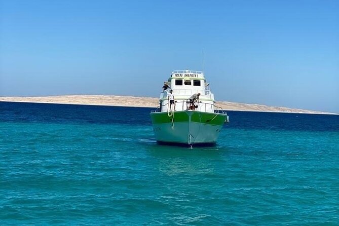 Red Sea Diving Trip from Hurghada: Beginner to Advanced Divers - Gear, briefing, and calm control: how the day sets you up